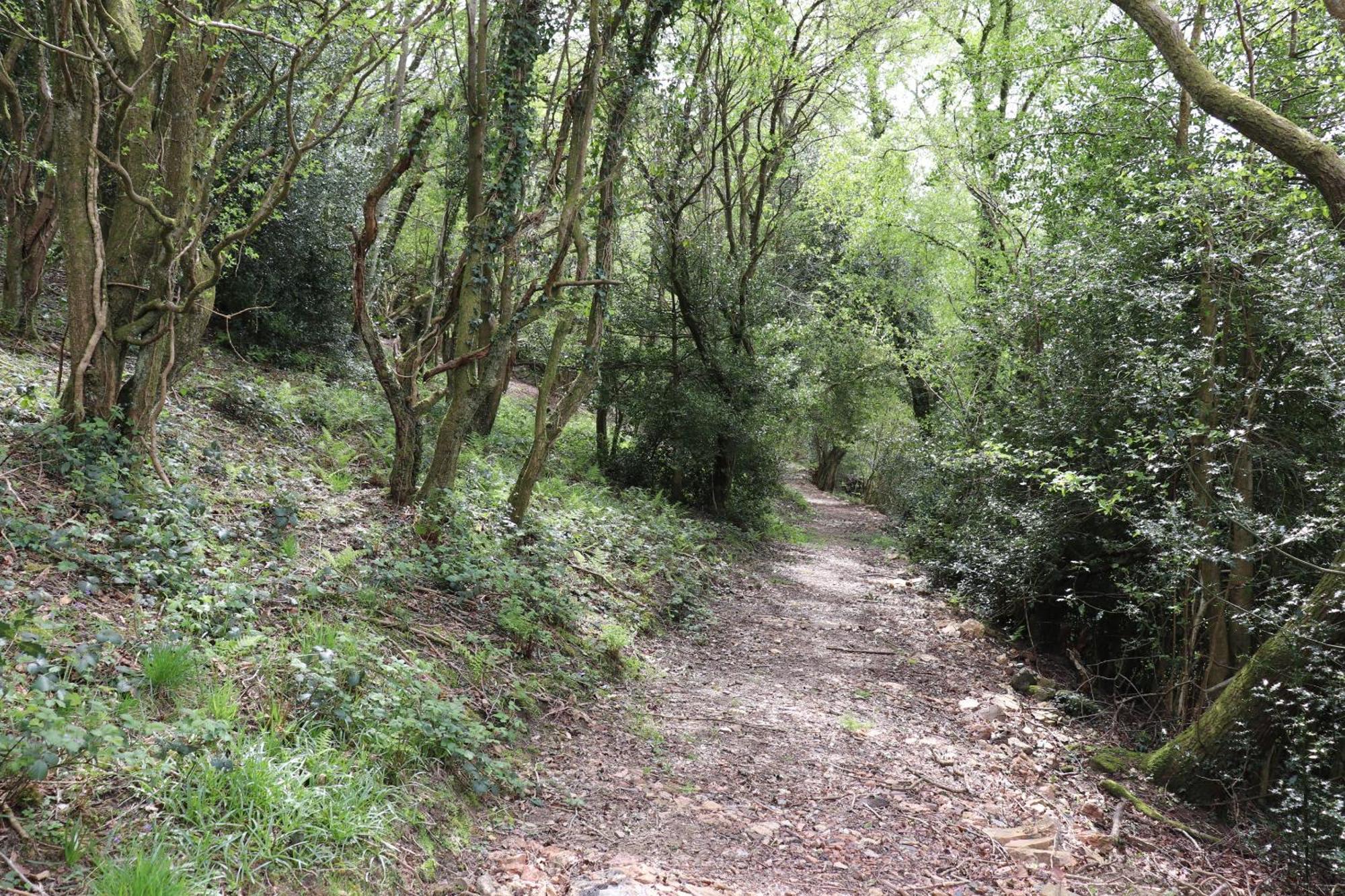 Tunnel Cottages At Blaen-Nant-Y-Groes Farm Aberdare Eksteriør billede